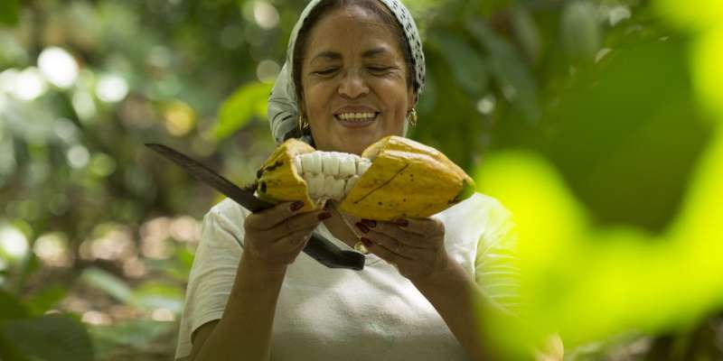 Petite exploitante Naturland récoltant du cacao © Naturland