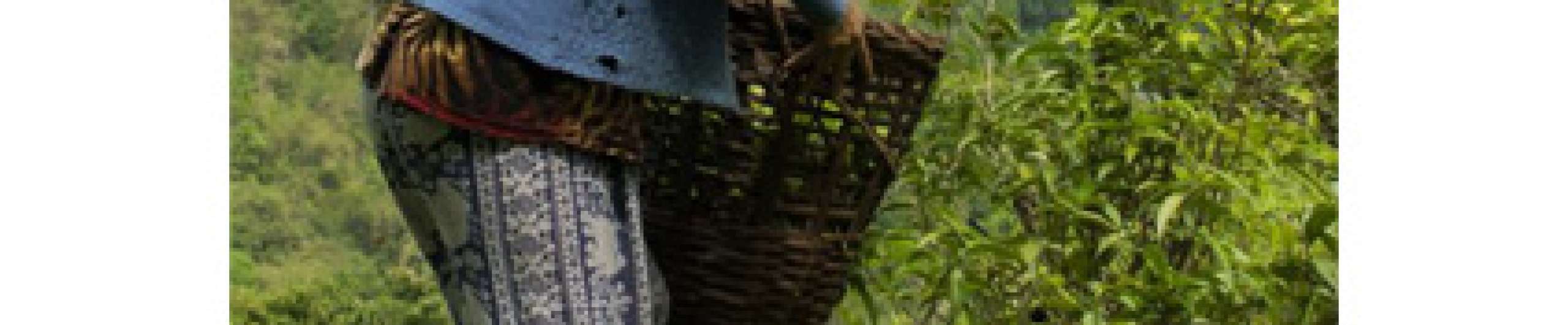 Flyer Naturland Fair