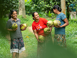 Ecological tea plantation in China © Naturland