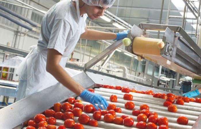 Naturland Richtlinien Verarbeitung