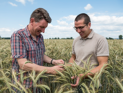 Organic vegetable growing in Italy © Naturland