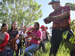 Ecological tea plantation in China © Naturland