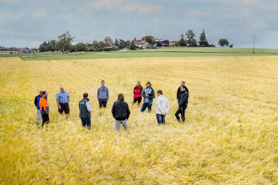 Gruppenberatung (Thomas Neumaier, Beratung für Naturland)