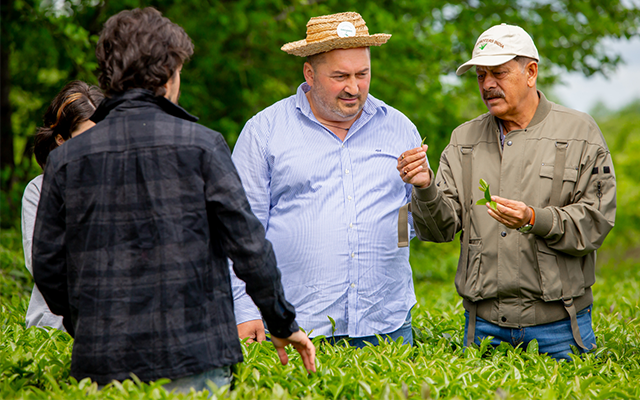 Organic vegetable growing in Italy © Naturland