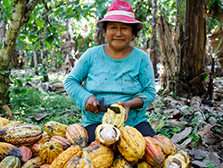 Bioagaves in Mexico © Naturland