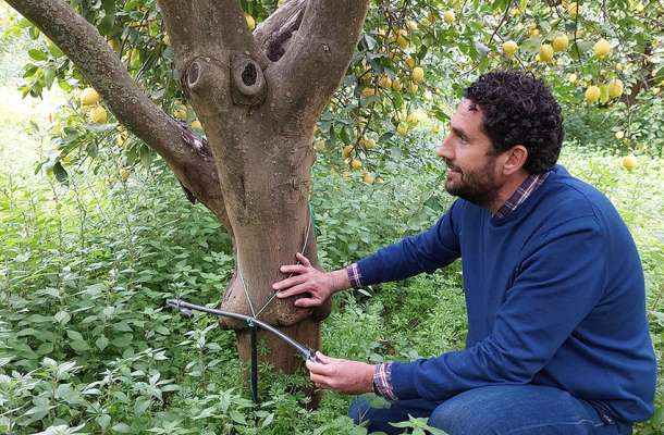 Auch die italienische Landwirtschaft hat mit Wasserknappheit zu kämpfen.