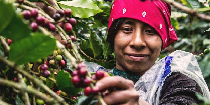 Ökologische Aquakultur