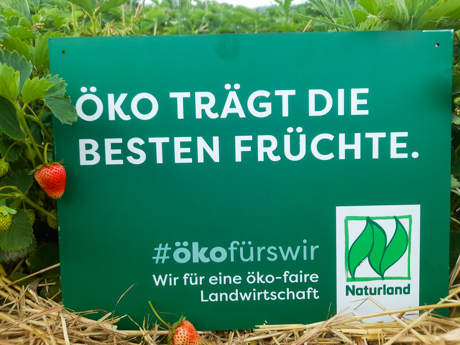 Seit 2016 ist der Betrieb von Klenke Naturland-zertifiziert.