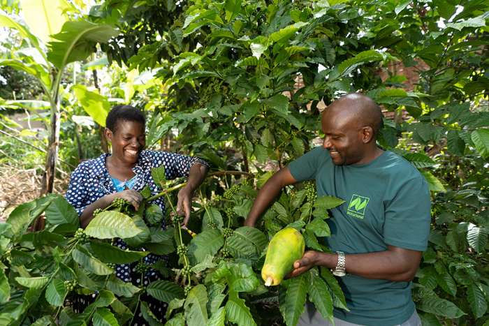 Naturland-Kaffeebauern in Uganda