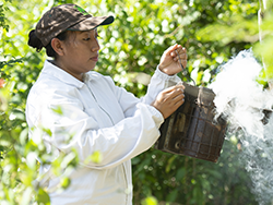 Bioagaves in Mexico © Naturland