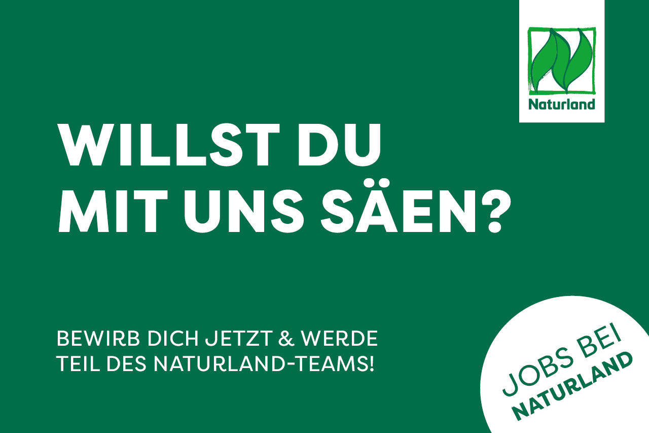 Stellenanzeigen (Quelle: Matthias Groß)