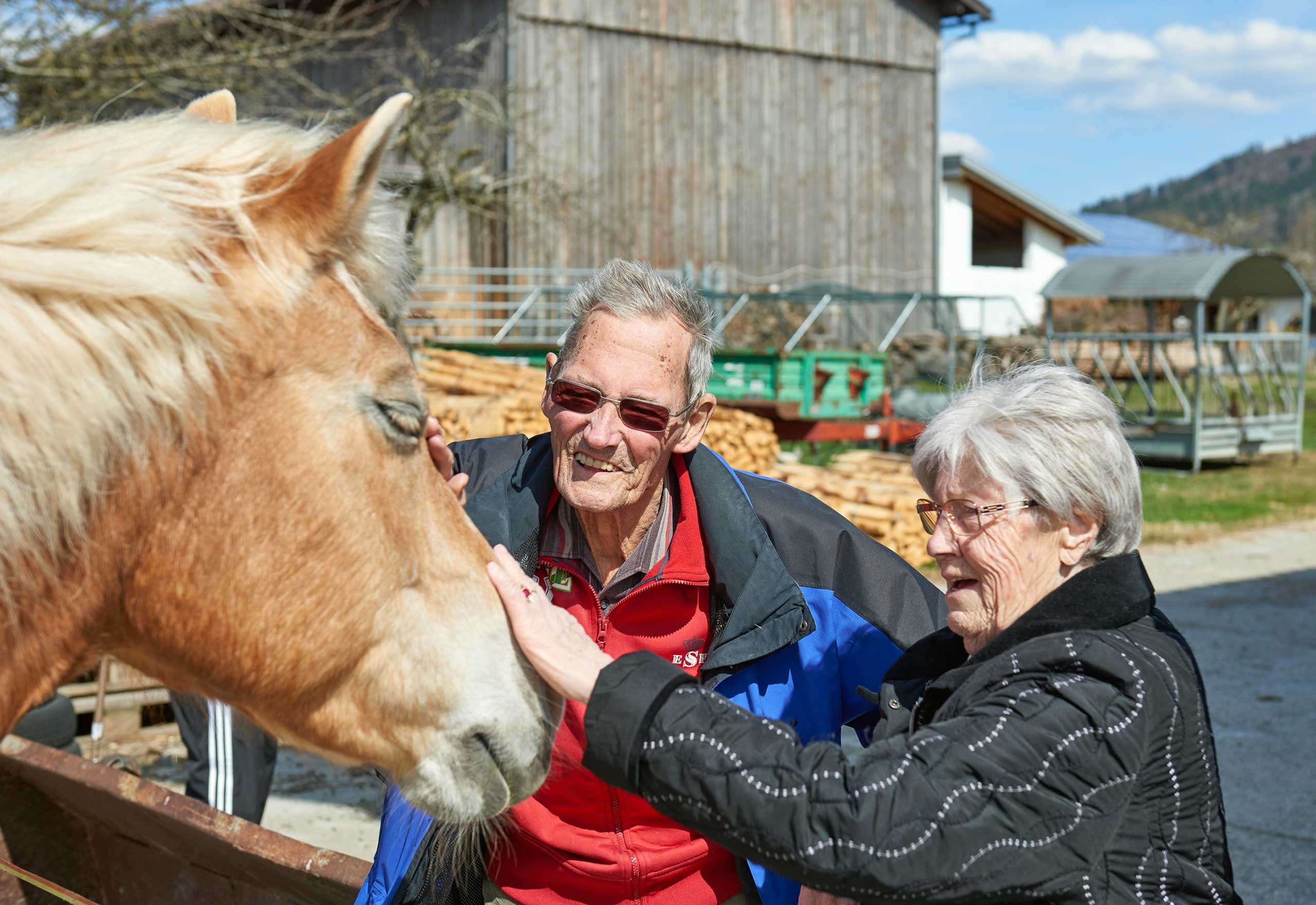 Soziale Landwirtschaft - hier: Senioren auf dem Bauernhof