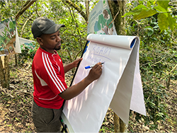 Kakaobaum in Burkina Faso © Narurland