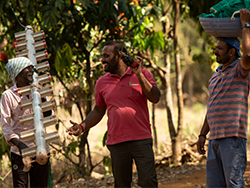 Ecological tea plantation in China © Naturland