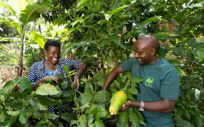 Produttori di caffè Naturland in Uganda
