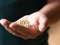 Pilze aus Wildsammlung aus der Ukraine © Naturland