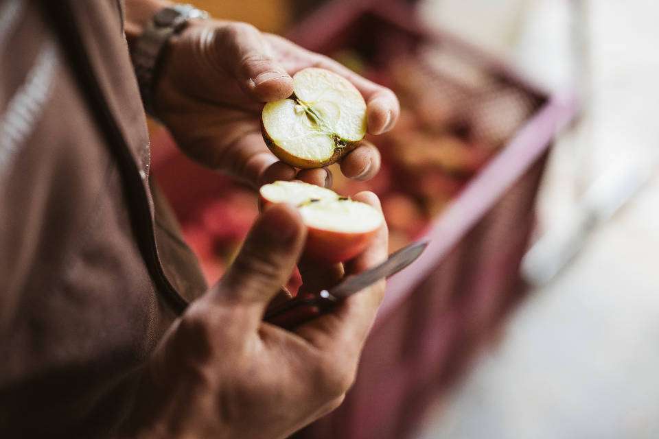 Apfel (Quelle: Naturland e.V.)