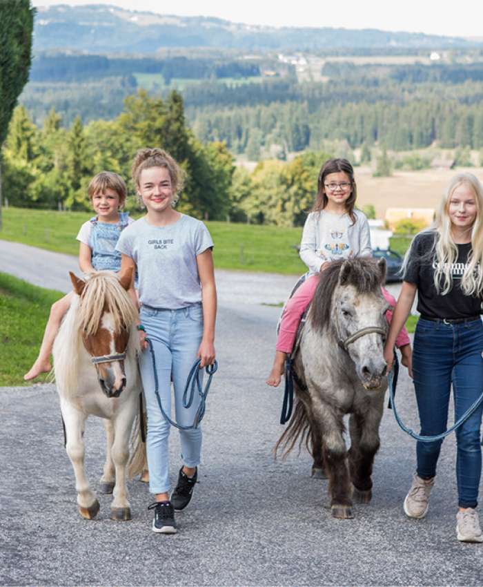 Ponyreiten ist besonders bei Kindern ein beliebtes Angebot auf dem Bauernhof.