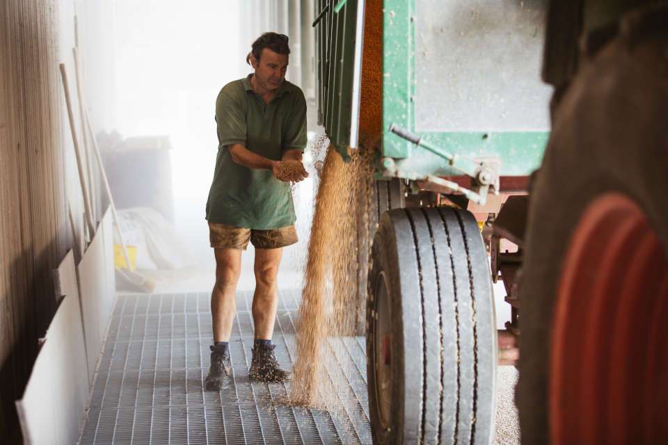 Getreide einlagern (Quelle: Naturland e.V.)